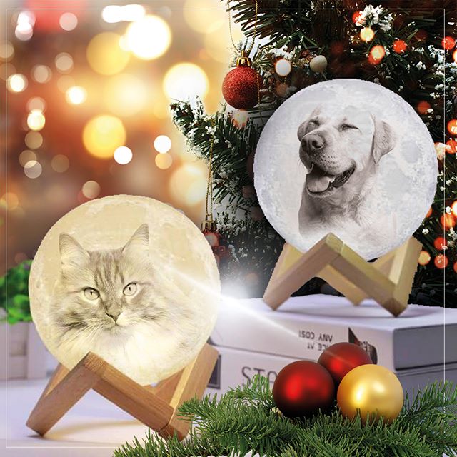 Personalized Photo Moon Lamp For Pets Lover